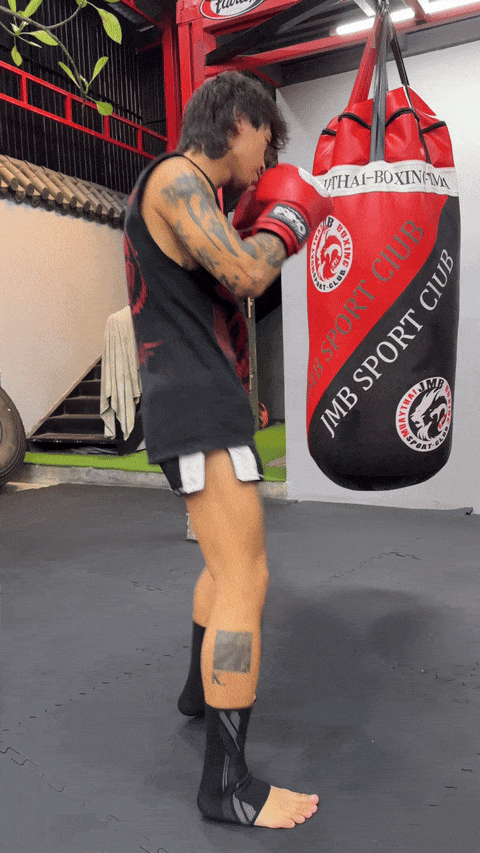 MAINTIENS DE CHEVILLES